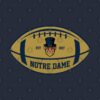 Notre Dame Team Colors Football Hoodie Official Football Merch