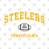 The Steelers T-Shirt Official Football Merch